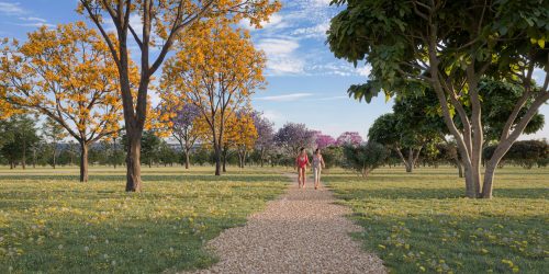 BosqueCaminhada_Theodoro